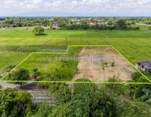 (LS291-01) Beautiful plot of land surrounded by nature Pa Pong, Doi Saket.