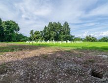 (LS317-00) Nice Plot of Land with Rice Paddy and Mountain Views for Sale in a Moo Ban in Doi Saket