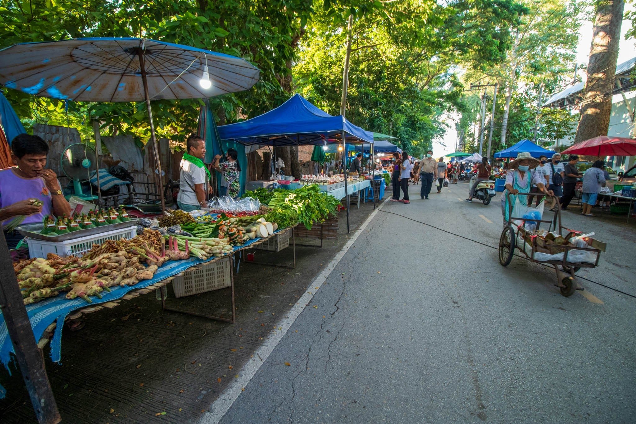 Tuesday Evening Street Market - Choeng Doi, Doi Saket