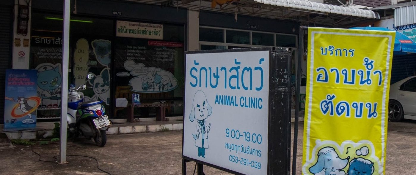 Animal Clinic - Choeng Doi, Doi Saket
