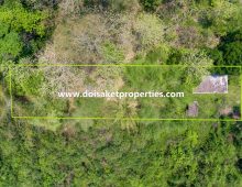 (LS369-00) 3+ Ngan of Land in a Quiet, Countryside Location in Luang Nuea, Doi Saket, Chiang Mai