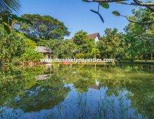 (HS341-04) A Very Special Luxury Country Estate Property on 2.5 Rai for Sale in San Kamphaeng, Chiang Mai