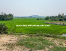 (LS380-01) 1-Rai of Prime Land for Sale in Luang Nuea, Doi Saket, Chiang Mai