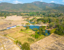 (LS391-49) Beautiful ~49 Rai Plot of Land with Incredible Views for Sale in Luang Nua, Doi Saket